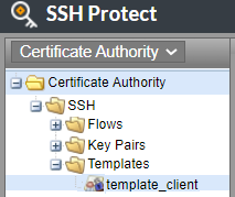 'Location of Certificate Issuance template