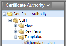 'Location of Certificate Issuance template