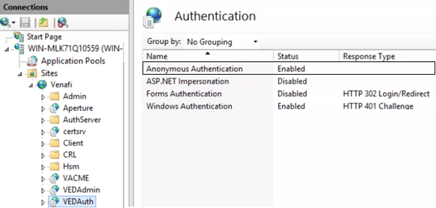IIS Certificate Auth page