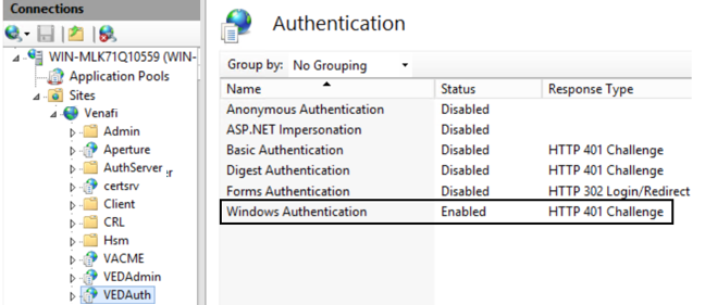 IIS Windows Auth page